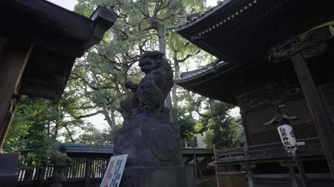Slow motion video the Leon Stone, Osaka Japon Stock Footage 283695394