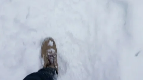 Slow Motion Video of Man Walking in Snowy Winter Park or Forest Stock Footage 71654746