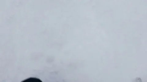 Slow Motion Video of Man Walking in Snowy Winter Park or Forest Stock Footage 71654896