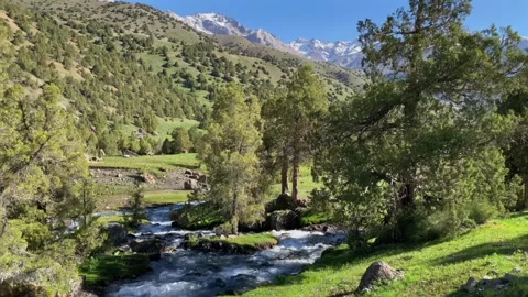 Slow motion video of a mountain rushing river Video stock 316881529