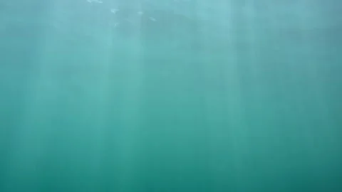 Slow-motion video of the ocean's depth, teeming with life under sunlight. Stock-Footage 250519885