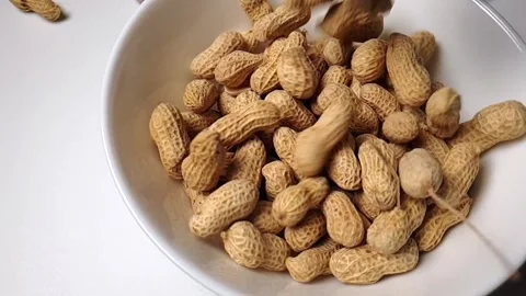 Slow-motion video of peanuts dropping into a white ceramic bowl. Stock Footage 160929251