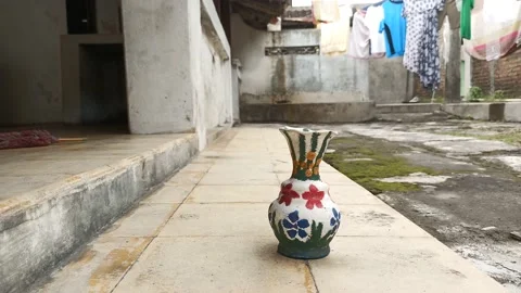 Slow motion video picking up and returning flowers Stock Footage 162354187