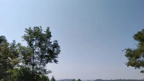 Slow motion video of pine tree in hill area. Stock Footage 141482720