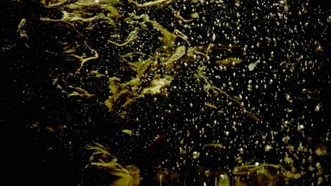 Slow-motion video of the process of brewing green tea in hot water. Stock Footage 223239490