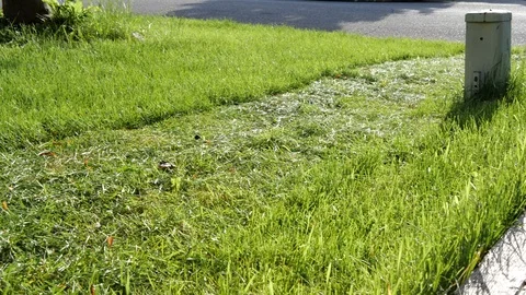 Slow motion video of a push lawn mower with rotating blades. Stock Footage 110439943