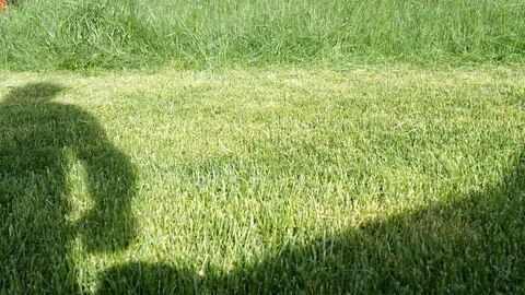 Slow motion video of a push lawn mower with rotating blades. Stock Footage 110443636
