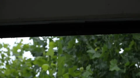 Slow motion video of rain drops falling when it rains Stock Footage 155770234