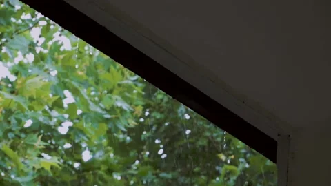 Slow motion video of rain drops falling when it rains Stock Footage 155770235