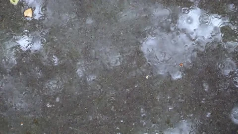 Slow motion video of raindrops falling onto the asphalt on a rainy day Stock Footage 155770236