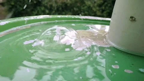 Slow motion video of raindrops Stock Footage 221227315