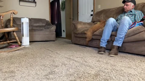 Slow Motion Video of Red Mini Poodle Playing In The House Видео 264355681