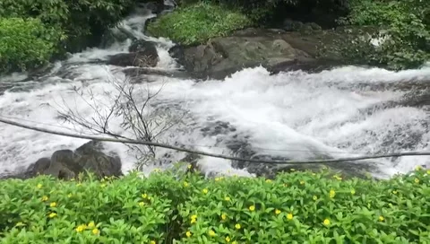 Slow motion video of river Stock Footage 157766294