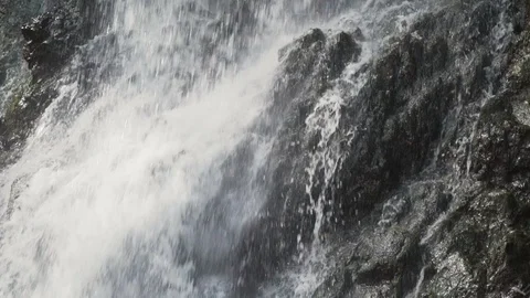 Slow motion video of rocks being splashed by forest waterfall Stock Footage 109620788