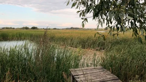Slow motion video Russian open spaces. Video stock 116649102
