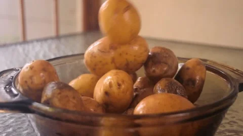 A slow motion video of small fresh picked red potatoes being poured into a Bowl Video stock 337435172