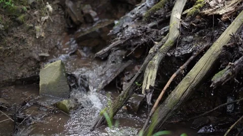 Slow motion video of a small stream in the forest Stock Footage 275636457