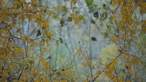 Slow motion video - Snowfall Stock Footage 140792440