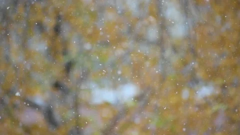 Slow motion video - Snowfall Stock Footage 140792446