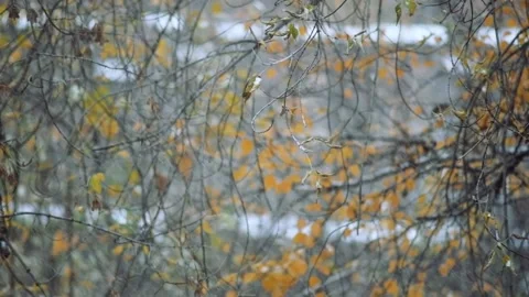 Slow motion video - Snowfall Stock Footage 140792472