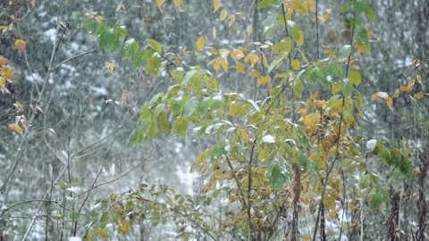 Slow motion video - Snowfall Stock Footage 140792495