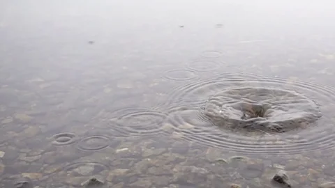 Slow Motion Video of Stone Falling in Water with Splash Stock Footage 82322481