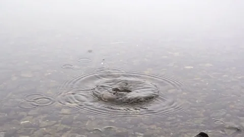 Slow Motion Video of Stone Falling in Water with Splash Vídeos de archivo 82322590