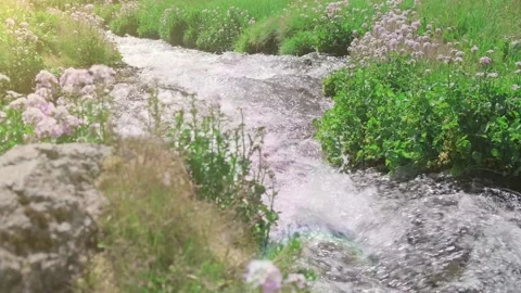 Slow motion video of the stream of mountain river with clean and pure water Stock Footage 202505974