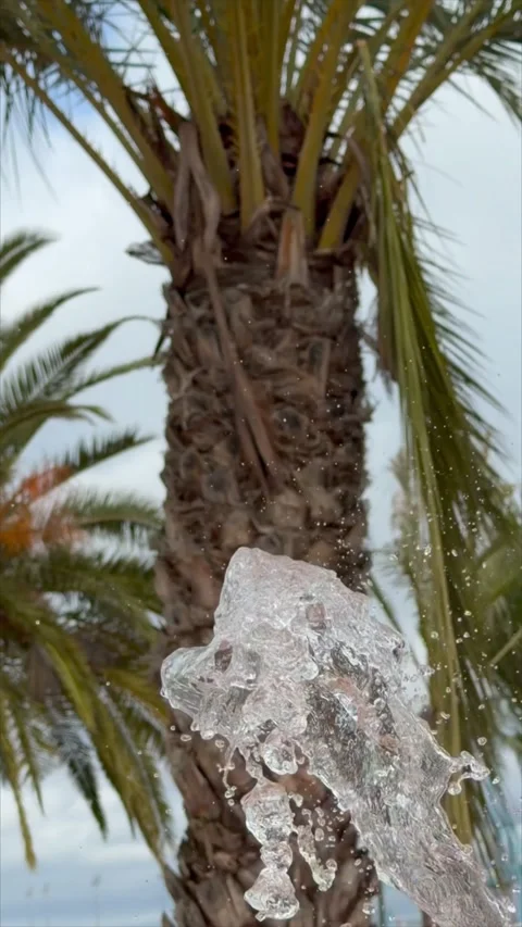 A slow-motion video of a stream of water with a palm tree in the background Stock Footage 326165468