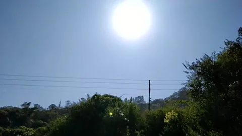Slow motion video of tree along with sun also moves. Video stock 141482809