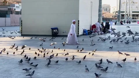 Slow motion video of an Umrah pilgrim walking past a flock of pigeons Stock Footage 332905064