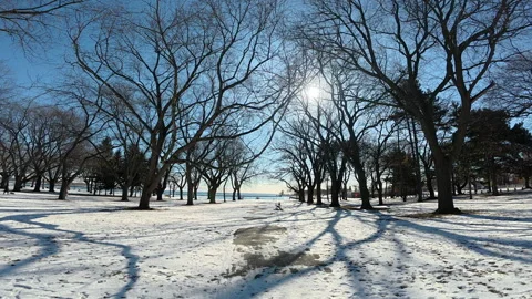 Slow motion video of a winter park landscape on sunny day Stock-Footage 301358129