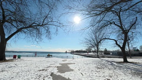 Slow motion video of a winter park on sunny day Stock Footage 301358162