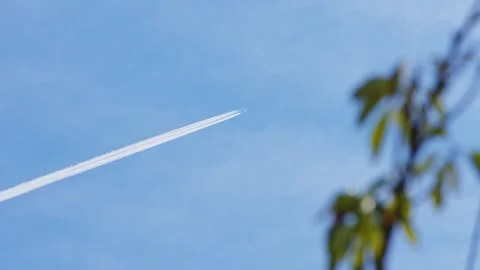 Slow motion view of aircraft contrail aligned with tree branches in blue sky Stock Footage 321144202