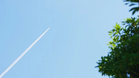 Slow motion view of aircraft contrail crossing clear sky above tree line Stock Footage 322118300