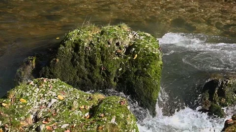 Slow motion view of Alpine pristine river flowing downstream Stock Footage 142105276