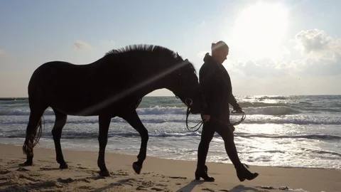 SLOW MOTION. View of beautiful black horse with woman walking near on the sea Stock Footage