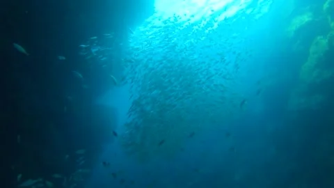 Slow motion view from bottom sandy seabed look up to the surface underwater with Stock Footage 312576604