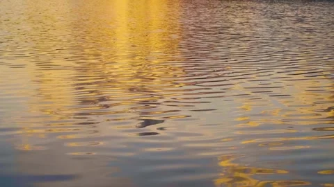 Slow Motion View of Calm Waves and Ripples on the Ros River, Ukraine at Sunset Stock Footage 326273233