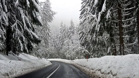 Slow motion view from car on road between snowy trees Stock Footage 102258434