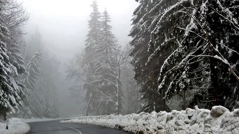 Slow motion view from car on road between snowy trees Stock Footage 102258474