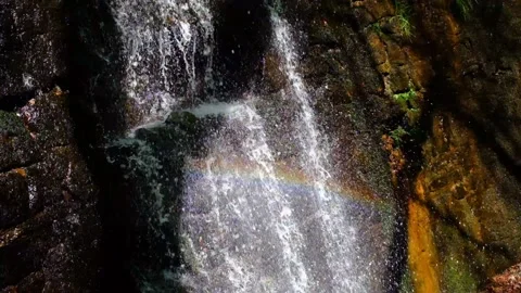 Slow motion view of cascade stream Stock Footage 239940076