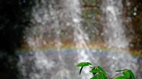 Slow motion view of cascade stream with rainbow reflection of light Stock Footage 239940089