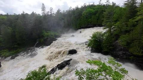 Slow Motion View of Chutes de Plaisance Waterfall, Lush Forest, Quebec, Spring Stockbeeldmateriaal 337419997