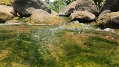 Slow motion view of clear mountain river water passing through rocks Stock Footage 323149832