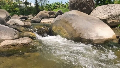 Slow motion view of clear mountain river water passing through rocks Stock Footage 323149850