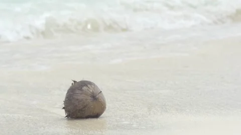 Slow motion view of coconut on a tropical beach washed with waves Stock Footage 49018731