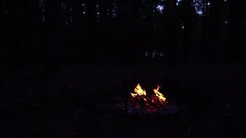 Slow motion view on forest campfire burning slowly with orange fire flames deep Stock Footage 102389476