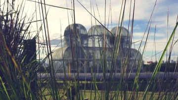 Slow motion view of the greenhouse behind tall grass. Stock Footage 85557003