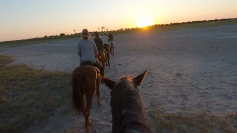 Slow motion view of a group of horse riders on safari walking into the setting Stock Footage 107207365